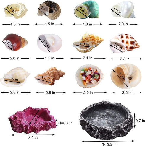 13 Pack Hermit Crab Shells with 2 Pack Food and Water Bowl, Growth Turbo Seashell Supplies Accessory