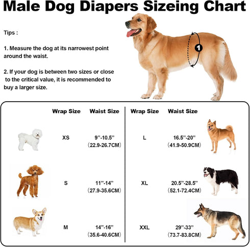 Pack 3, Washable Male Dog Diapers Reusable, Premium Belly Bands for Male Dogs, of High Absorbing Extra Small Male Dog