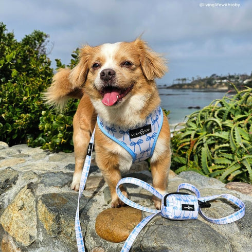 Lucy & Co. Dog Poop Bag Holder - Leak Proof Dispenser with Leash Attachment - Easy Refills - Hygienic Pet Poop Pickup