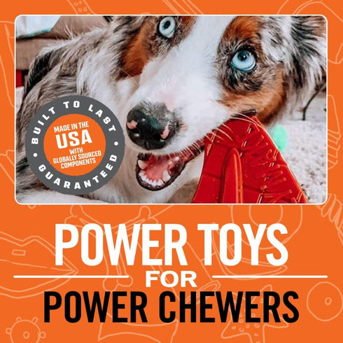 BULLYMAKE Nylon Steak Chew Toy for Dogs - Durable Dog Toy for Aggressive Chewers, Made in USA