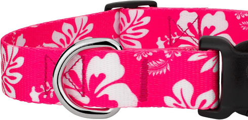 Country Brook Petz Deluxe Dog Collar, Premium Polyester for Durability, Comfort & Style, Pink Hawaiian, Large