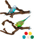 2 Packs Parrot Bird Perches - Natural Wild Grape Stick Grinding Paw Climbing Cage Accessories Toy for 3-4 Parakeets