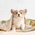 Futterya 3D Plush Pet Blanket Sunflower Bouquet Vintage Style Paw Print Design Soft Fluffy Blankets Throw for Dog Puppy