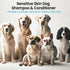 Set 16 oz ALFIE'S CHOICE Dog Shampoo and Conditioner | fl Each | Lavender & Rosemary with Biotin | for Itchy, Dry