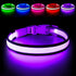 Flashseen LED Dog Collar, Light Up Dog Collar USB Rechargeable, Brightest Dog