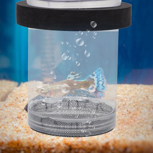 Ipetboom 1pc Aquarium Box - Baby Fish Separator Box, Floating Hatching Incubator for Betta Fish