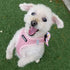 Voyager Step-In Air Dog Harness - All Weather Mesh, Reflective, No Pull Harness for Small, Medium Dogs, Cats - Pink,