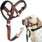 BARKLESS Muzzle Leash for Heavy Pullers, Adjustable No Pull Stylish Head Halter for Medium Large Aggressive Dogs (L,