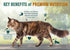Immune 4.5lb (Pack 2) Chicken Soup for the Soul All Natural Premium Adult Dry Cat Food, Real Meat First Ingredient, No