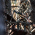 Tree Stand Stabilizer Straps - Hunting Gifts for Men, Accessories for Climbing Tree Stand and Backpack