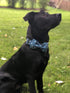 Elegant Little Tail Dog Collar with Bow, Adjustable Cotton & Webbing Bowtie Dog Collars for Small, Medium, Large Dogs