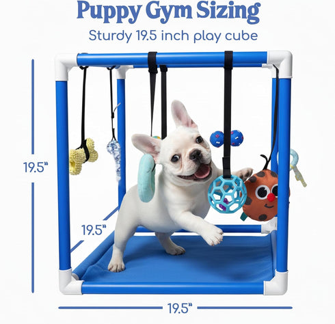 8 19.5" Set Race&Herd Puppy Play Gym, Dog Play Mat, Bungee Straps Interactive Puppy Active Toys - Small Dog Jungle Gym