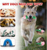 ucho Interactive Chew Toys for Aggressive Chewers, Dog Toy for Training and Teeth Cleaning (Champagne, Roses)