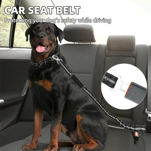 PUPTECK Heavy Duty Bungee Dog Leash for Medium & Large Dogs, No Pull Tactical Leash with Double Handles (Black)