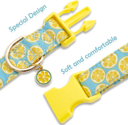 Faygarsle Cute Dog Collar with Lemon Design, Ideal Yellow Green Summer Collar for Small Medium Large Dogs (L)