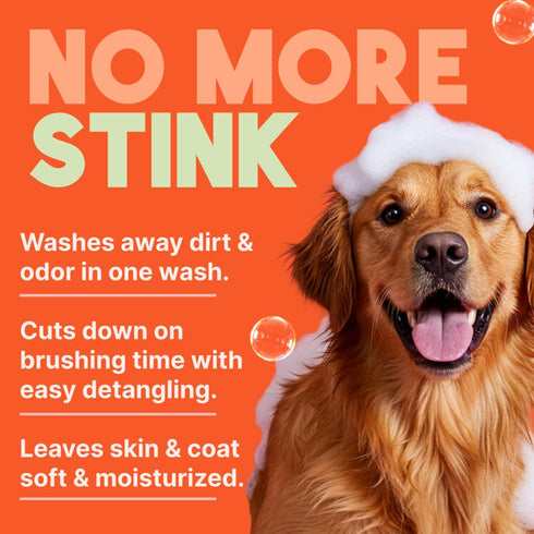 2-in-1 20oz. TropiClean Dog Shampoo and Conditioner, Moisturizing Dog Detangler, Puppy Safe, Made in the USA, Papaya