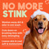 2-in-1 20oz. TropiClean Dog Shampoo and Conditioner, Moisturizing Dog Detangler, Puppy Safe, Made in the USA, Papaya