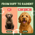 2-in-1 20oz. TropiClean Dog Shampoo and Conditioner, Moisturizing Dog Detangler, Puppy Safe, Made in the USA, Papaya