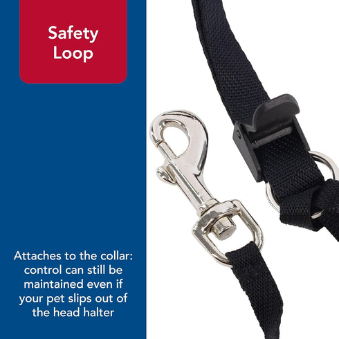 Coastal Pet Walk 'n Train Dog Head Halter, No-Pull Harness, Black, XLarge