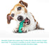 Carllg Puppy Teething Chew Toys - Indestructible Tough Dog Toothbrush Toys for All Breeds