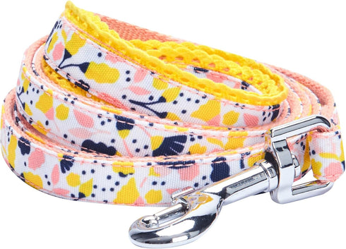 Blueberry Pet Durable Blooming Floral Print Dog Leash, Creamy White, 5 ft x 5/8"