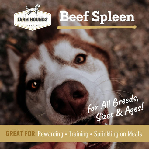 100% -4oz -1 Pack Farm Hounds - Beef Spleen - Premium Natural Beef Spleen Jerky For Dogs - Made From Humanely Raised
