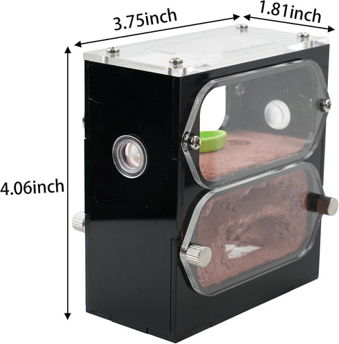 Live Ant Farm Habitat - Natural Learning Toy for Kids