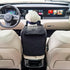 Dog Car Seat Center Console - Portable Booster Seat for Small Pets, Fully Detachable and Washable