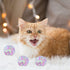 AUEAR 20 Pack Dye Free Cat Crinkle Balls 2" Mylar Sounds Shiny Glitter for Cats