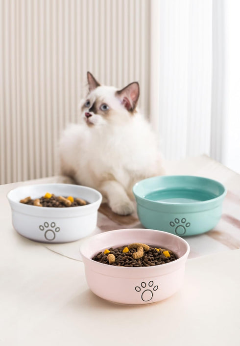 Ceramic Dog Bowls for Cats and Small Dogs, Pet Feeding Bowls 20 oz (6", Blue/Pink/White)