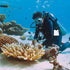 Underwater Writing Slate, Plastic Handwriting Plate Notebook Gear Board with Replaceable Pencil for Diving Communication