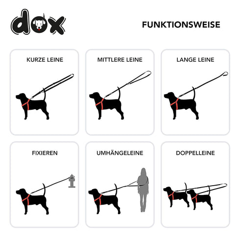DDOXX Nylon Dog Leash, 6.6 ft, 3-Way Adjustable Leash for Dogs - XS (Blue), Red Dog Leash