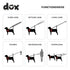 DDOXX Nylon Dog Leash, 6.6 ft, 3-Way Adjustable Leash for Dogs - XS (Blue), Red Dog Leash