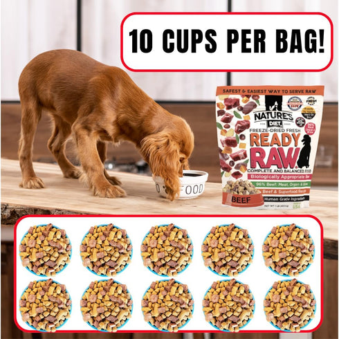 96% Nature's Diet Ready Raw Freeze-Dried Raw Dog Food, Beef, Human Grade, High Pressure Pasteurized (HPP), Meat, Organ