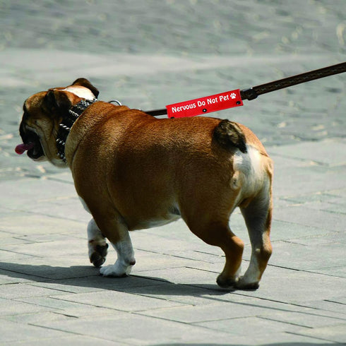 Funny Dog Leash Sleeve, Nervous Do Not Pet Dog Leash Wrap Alert Hanging ID Patch Tag Birthday Gift (Do Not Pet-Sleeve)