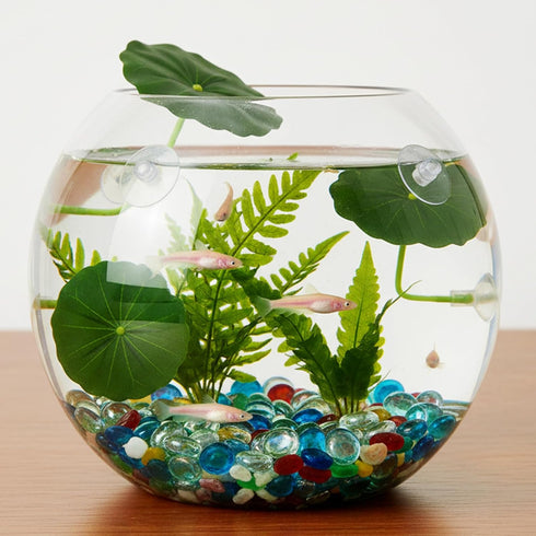 Xinjoduz 3 Pack Hammock (2.56 Inches) Xindojuz Betta Fish Toys, Plastic Betta Bed Leaf for Fish Tank Decorations, Safe