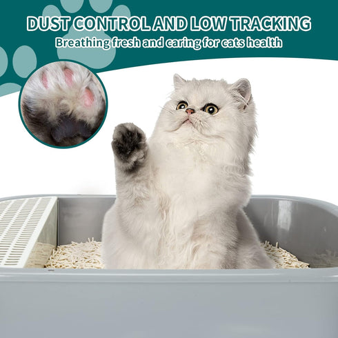 Plant-based Cat Litter - Odor Control Quick Clumping Tofu Cat Litter, 6 lbs, Low Tracking Dust Control