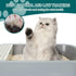 Plant-based Cat Litter - Odor Control Quick Clumping Tofu Cat Litter, 6 lbs, Low Tracking Dust Control