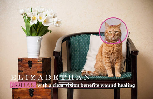 Cat Cone Collar, Recovery Elizabethan E-Collar for Kitten Puppy Dog, Clear Soft Neck, Not Block Vision, M in Rose