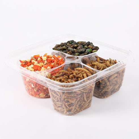 Hedgehog Treat Variety Pack - Healthy Natural Treat Assortment, Dried Mealworms, Black Soldier Fly Larvae & More