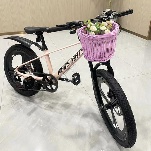 Willow Bike Basket, Little Box for Bicycle, Arts and Crafts Storage