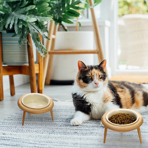 DEAYOU Ceramic Cat Bowl, Adjustable Tilted Elevated Pet Dish, No Spill Feeder with Wood Stand, 600 ML/20 OZ