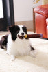 Funny Dog Toy with Interactive Squeaky Sound, Plush Cotton Filled Softness for Small, Medium, Large Puppies and Dogs