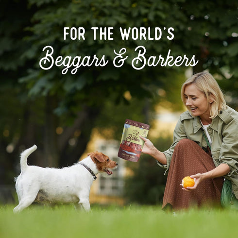 Beg & Barker Pork Jerky for Dogs (10 Ounce, Pack of 2) - Natural Dog Training Treats, Grain Free