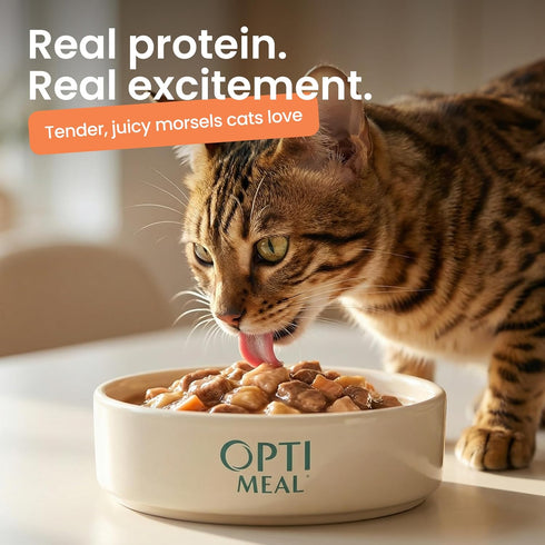 3oz (Pack 12) Optimeal Wet Cat Food Grain Free - Salmon & Tuna Tender Morsels, High Protein Premium Nutrition Made