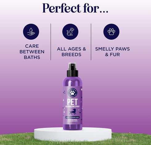 Lavender Oil Dog Deodorizing Spray, Lightly Scented Dog Spray for Smelly Dogs and Puppies with Lavender Essential Oil
