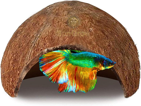 SunGrow Betta Fish Cave, Coconut Shell Habitat, Spacious Hideout for Resting and Breeding, 1 Pc