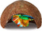 SunGrow Betta Fish Cave, Coconut Shell Habitat, Spacious Hideout for Resting and Breeding, 1 Pc