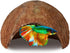 SunGrow Betta Fish Cave, Coconut Shell Habitat, Spacious Hideout for Resting and Breeding, 1 Pc