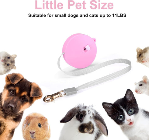 Retractable Dog Leash for Small Dogs Cats, 6.5ft Anti-Pull Nylon Tape, Mini Portable Walking Leash, Pink Round
